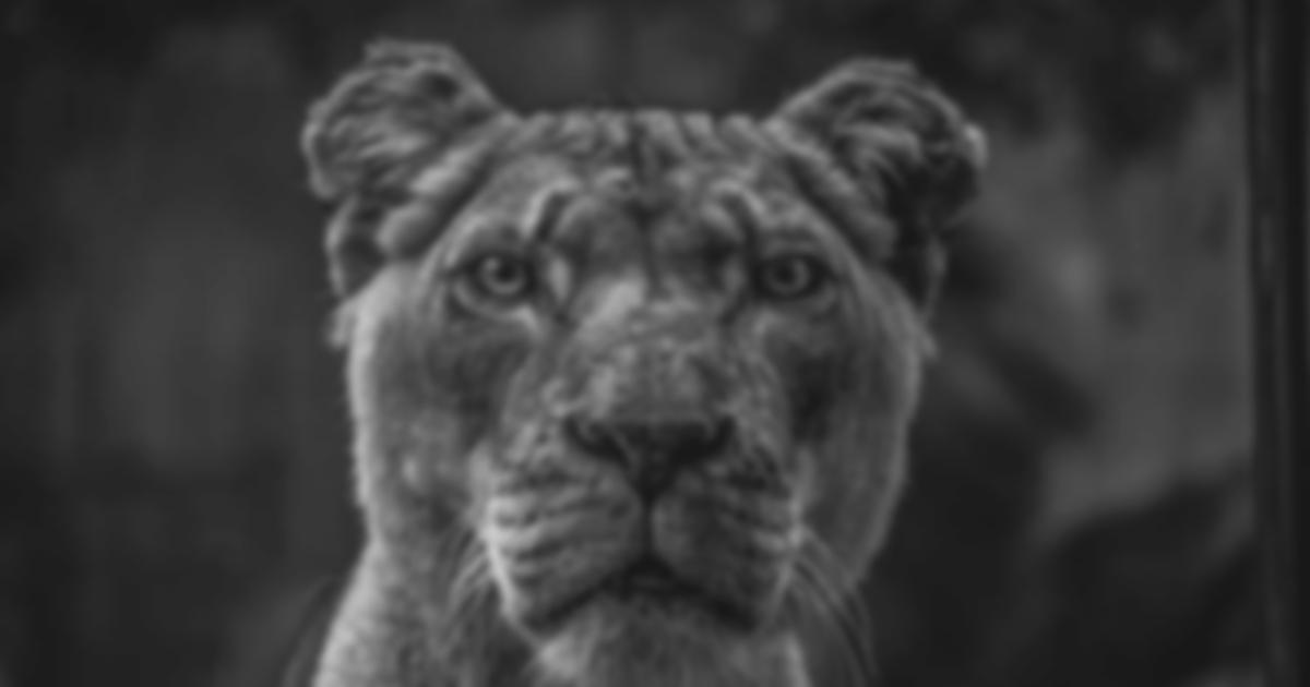 40Hz pink noise brain waves