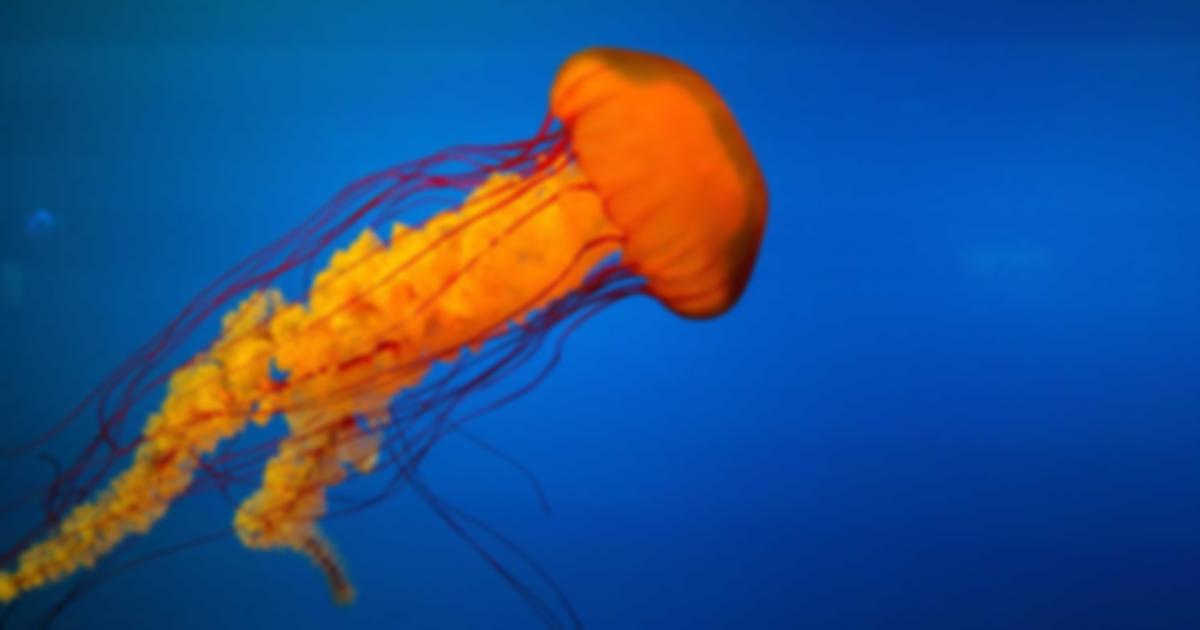 White noise sound waves